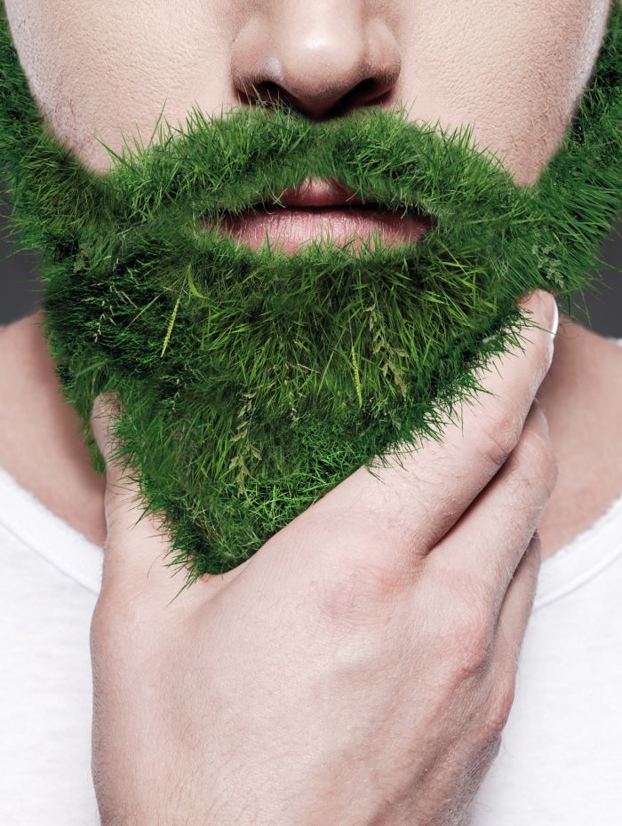 De Groene Kaap